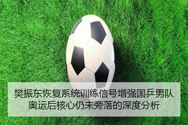 樊振东恢复系统训练信号增强国乒男队奥运后核心仍未旁落的深度分析